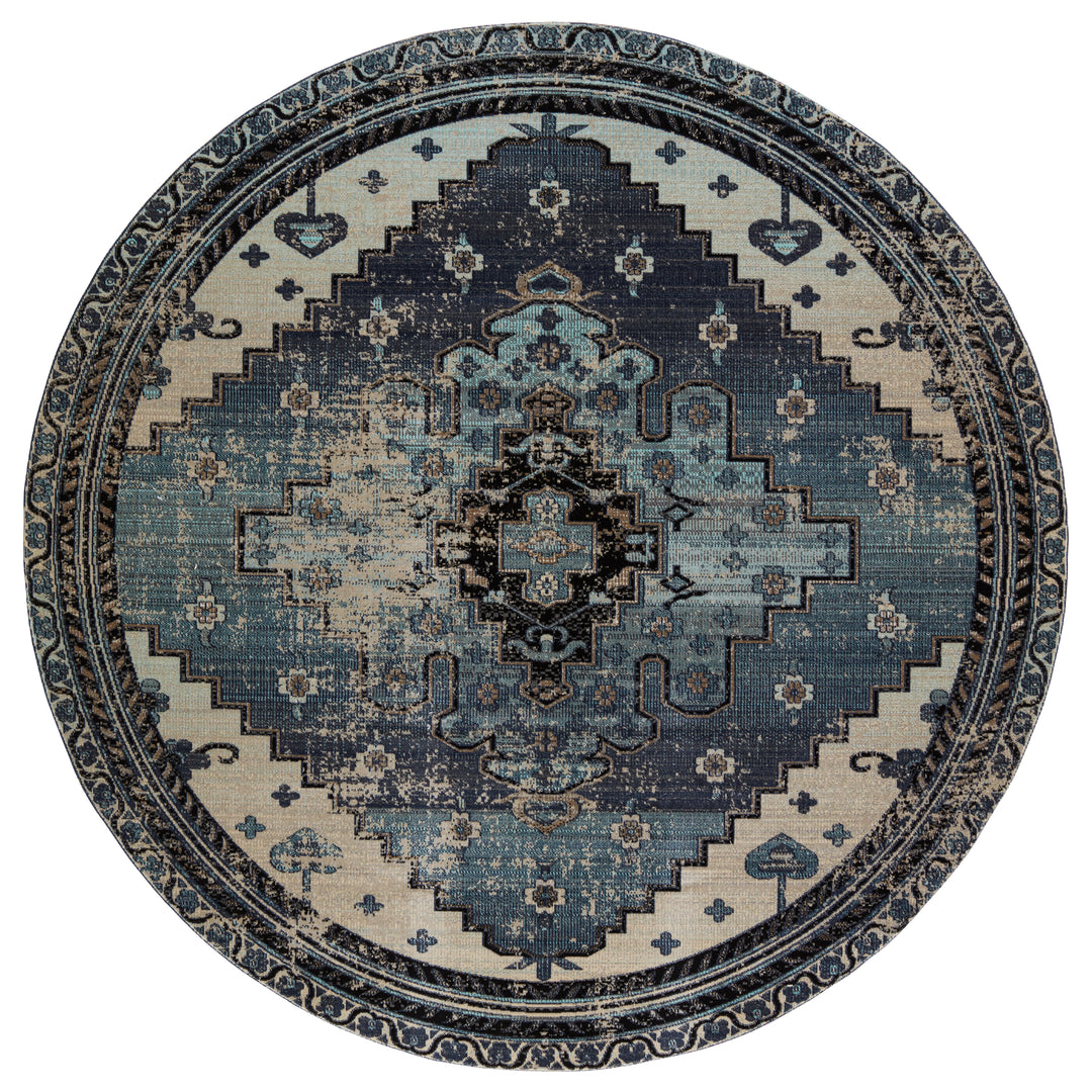 Jaipur Living Cicero Indoor/ Outdoor Medallion Blue/ Gray Area Rug (POLARIS - POL39)