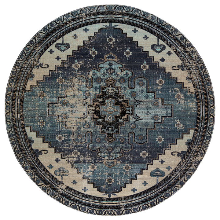 Jaipur Living Cicero Indoor/ Outdoor Medallion Blue/ Gray Area Rug (POLARIS - POL39)