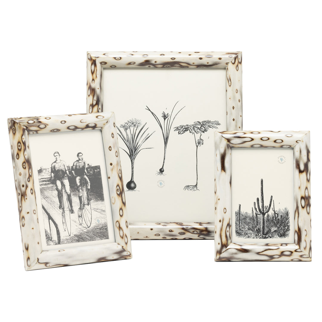 Bisbee Birdseye Burl Veneer Picture Frame (Maple)