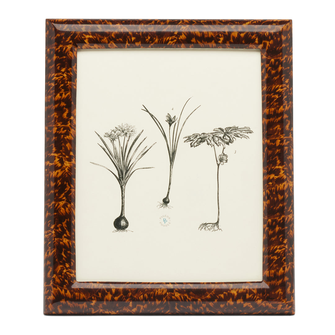 Dana High-Gloss Faux Tortoise Picture Frame