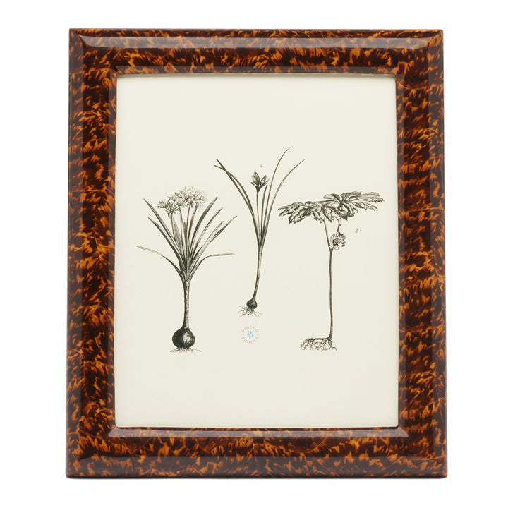 Dana High-Gloss Faux Tortoise Picture Frame