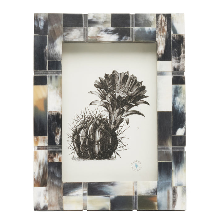 Darwin Dark Horn Picture Frame