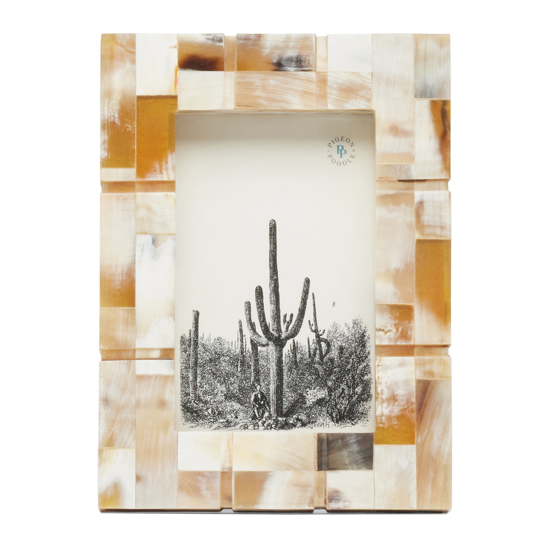 Darwin Natural Horn Picture Frame