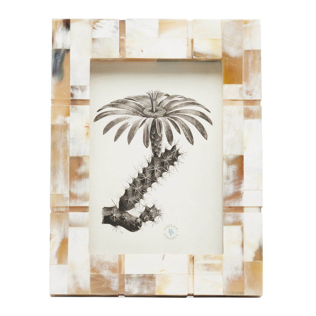 Darwin Natural Horn Picture Frame