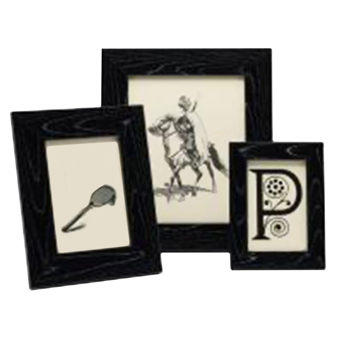 Decatur Ebony/Silver Veneer Picture Frame