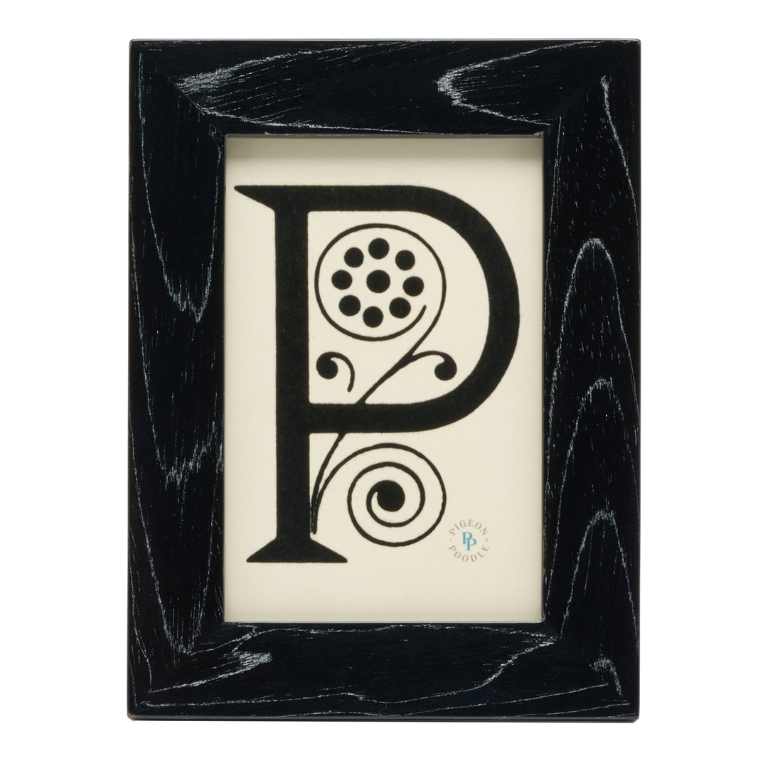 Decatur Ebony/Silver Veneer Picture Frame