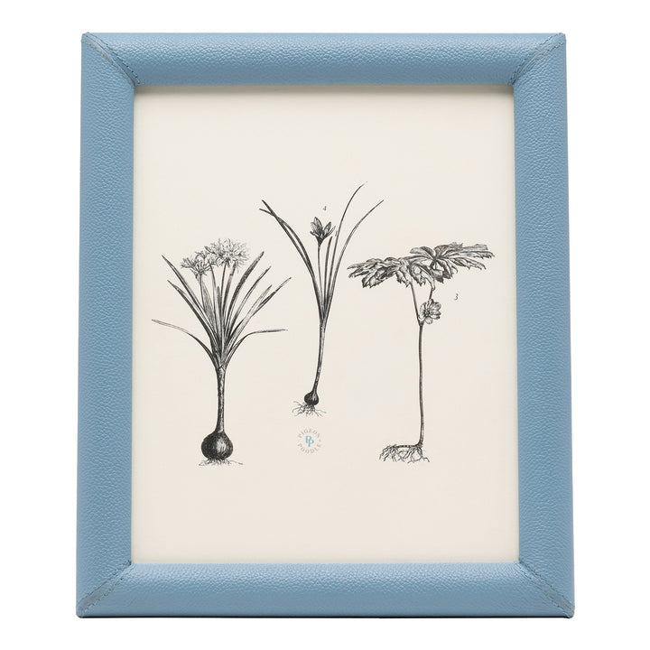 Eton Full-Grain Leather Picture Frames (Country Blue)