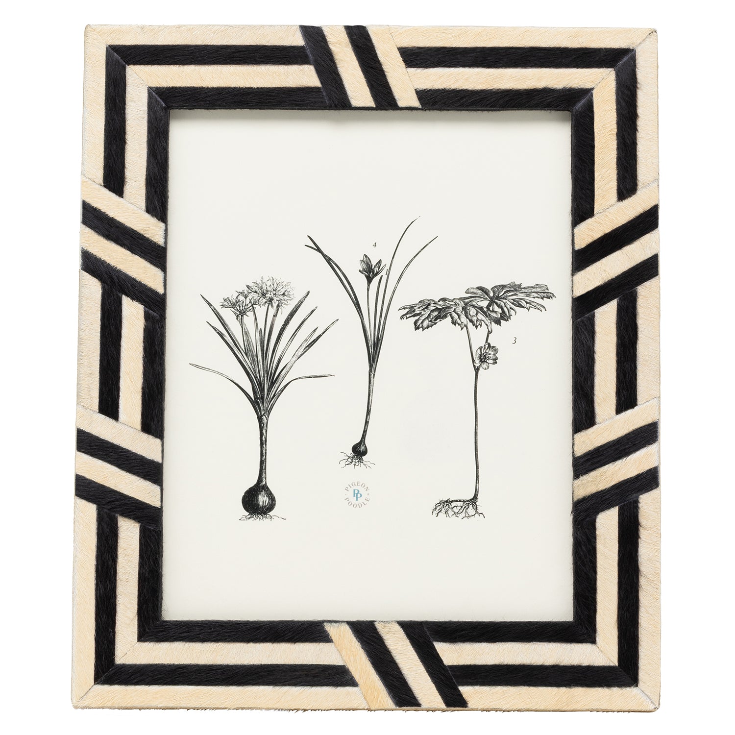 Helos Hair-On-Hide Picture Frames