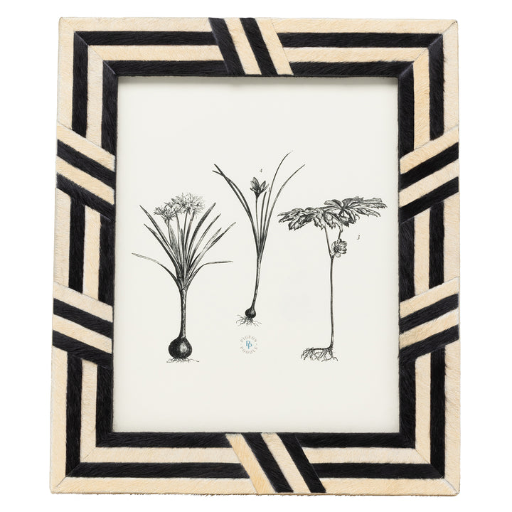 Helos Hair-On-Hide Picture Frames (Beige/Dark Brown)