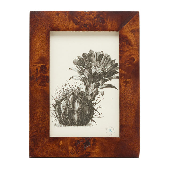 Nelson Mappa Burl Picture Frames (Dark Honey)