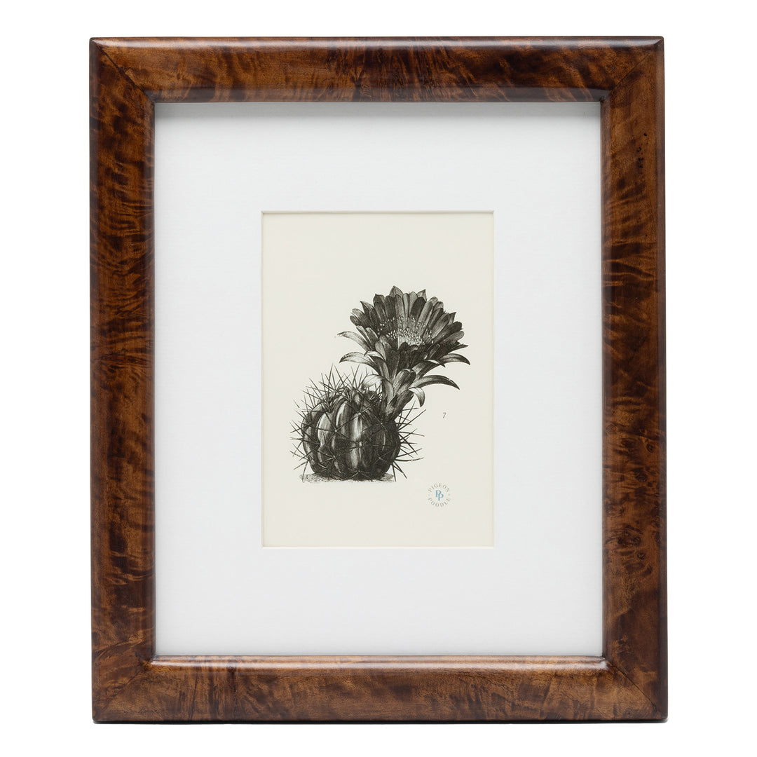 Nelson Mappa Burl Wall Picture Frame (Dark Honey)