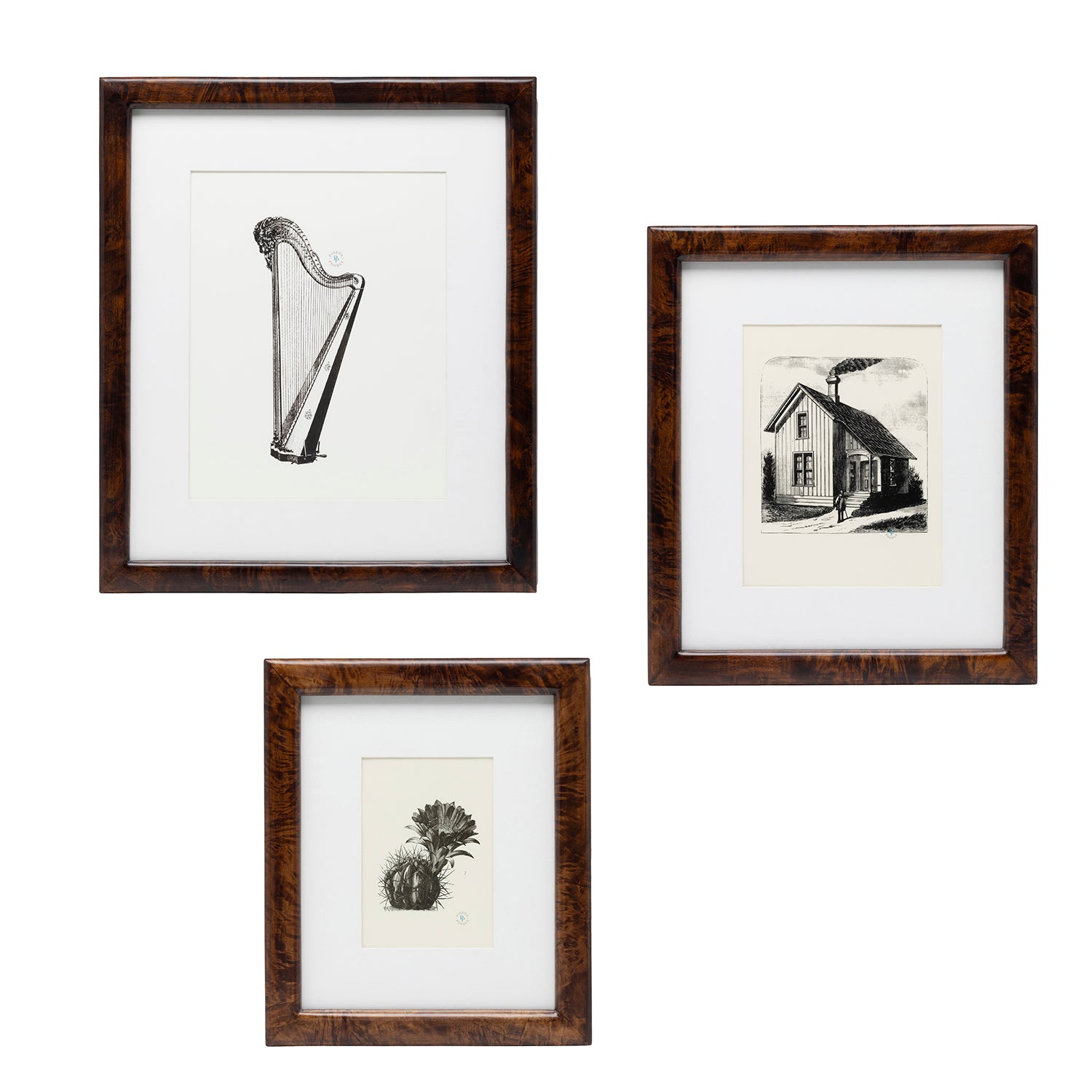 Nelson Mappa Burl Wall Picture Frame - Thumbnail 3