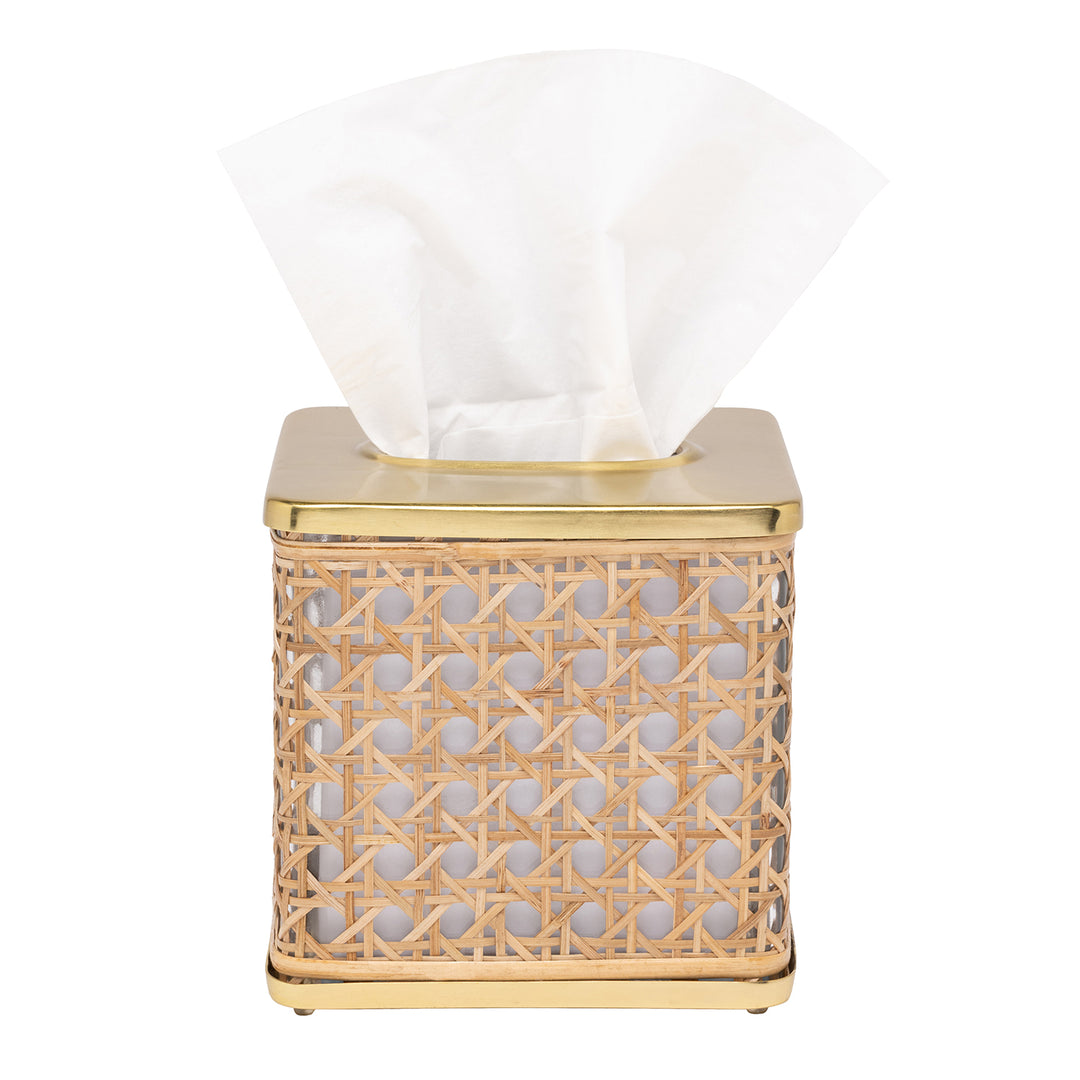 Norwell Rattan/Clear Glass/Gold Stainless Steel Tissue Box Cover