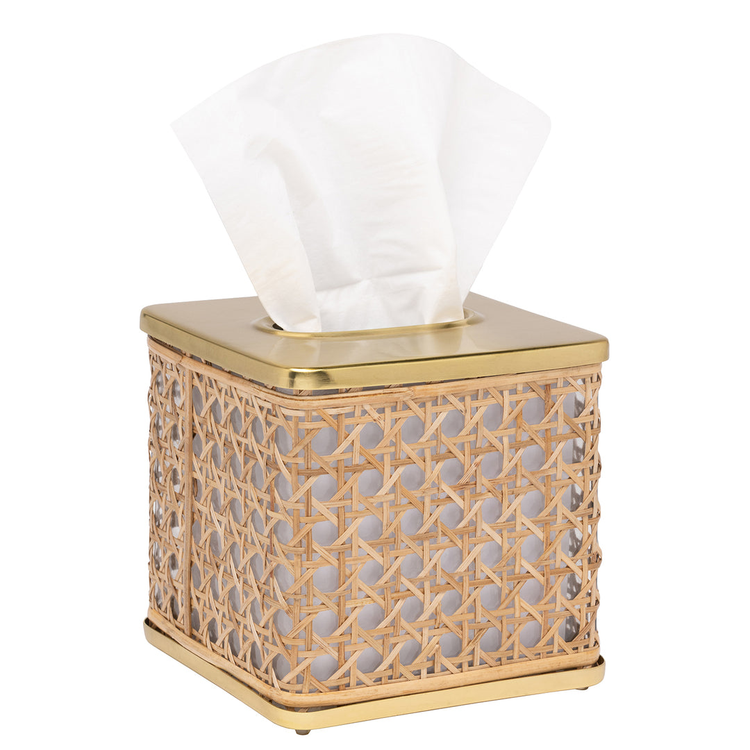 Norwell Rattan/Clear Glass/Gold Stainless Steel Tissue Box Cover