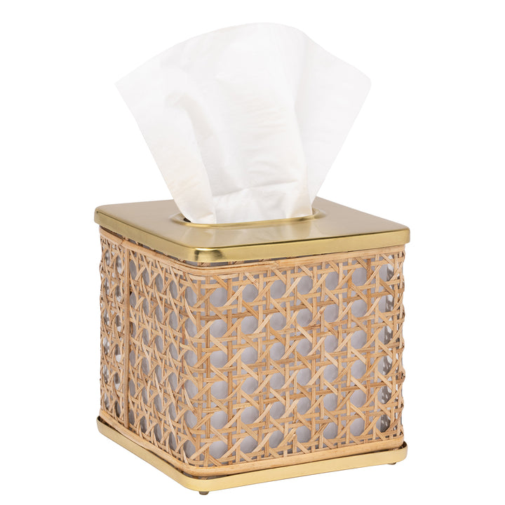 Norwell Rattan/Clear Glass/Gold Stainless Steel Tissue Box Cover