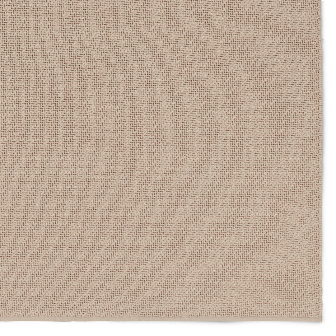 Jaipur Living Rayan Handmade Indoor/Outdoor Solid Beige Area Rug (QUINTON - QTN01)