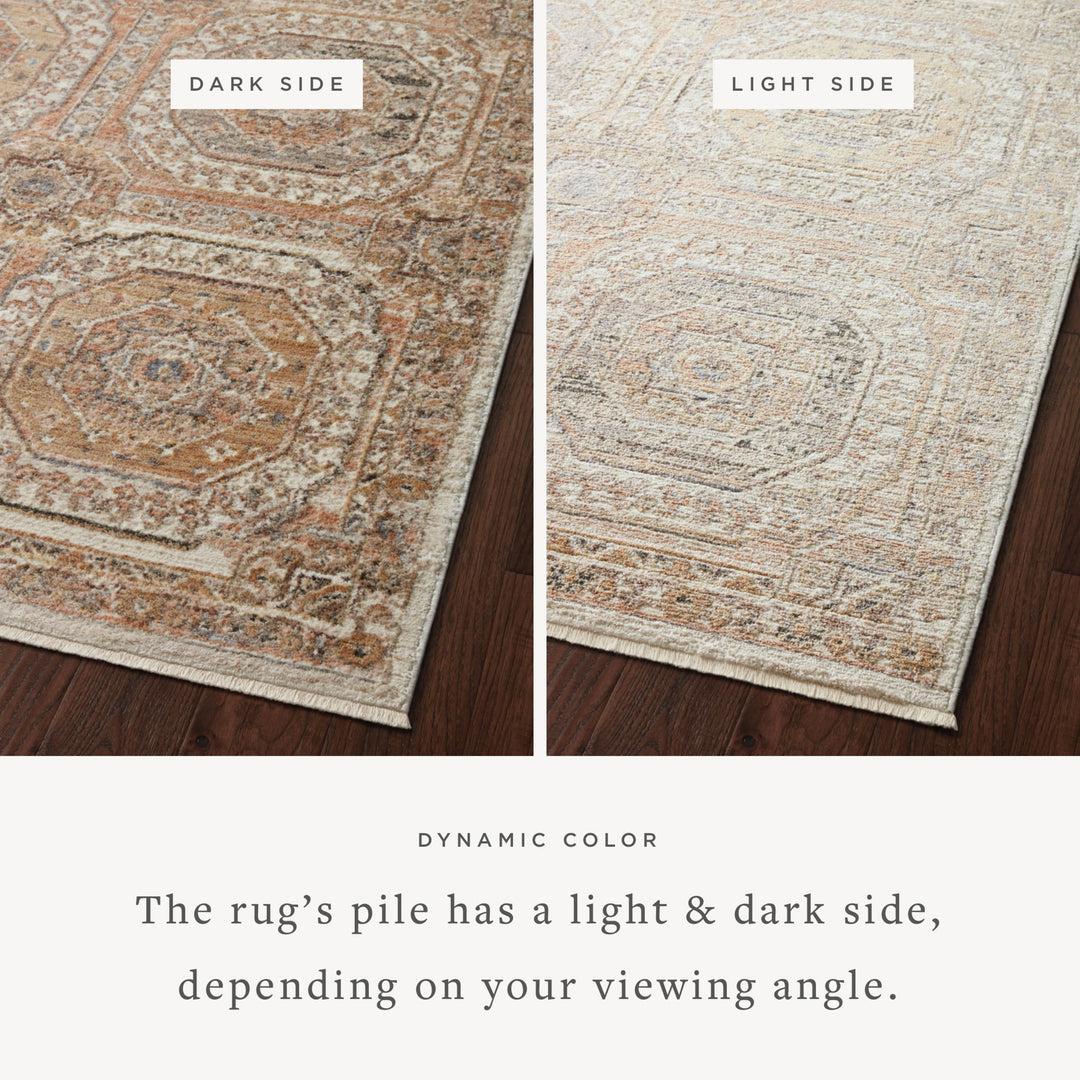 Loloi Sonnet Apricot / Multi Accent Rug