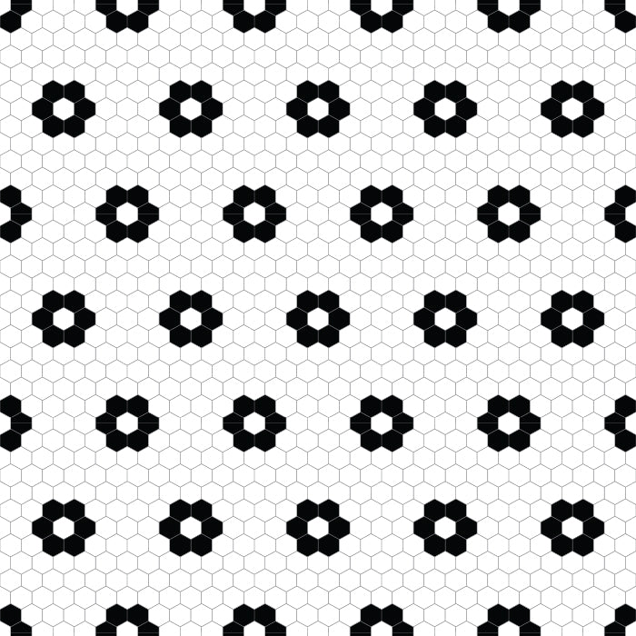 Adama Vinyl Floor Rug (Aster Black/White Tile Border)