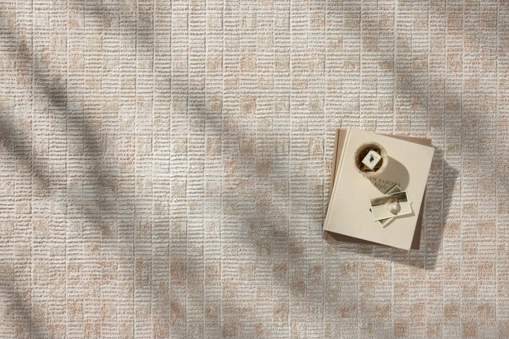 Loloi Townes Beige / Clay Area Rug (TOW-06)
