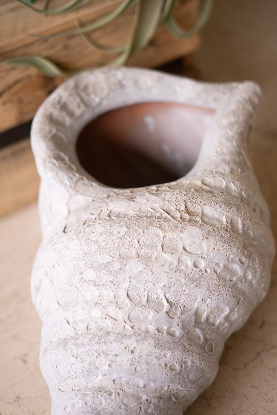 Clay Conch Shell Planter with White Glaze