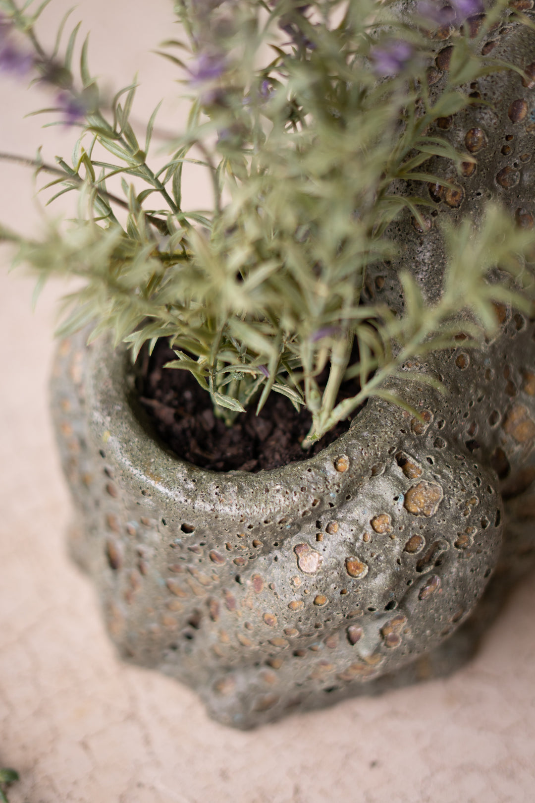 Terracotta Frog Planter with Rustic Glaze