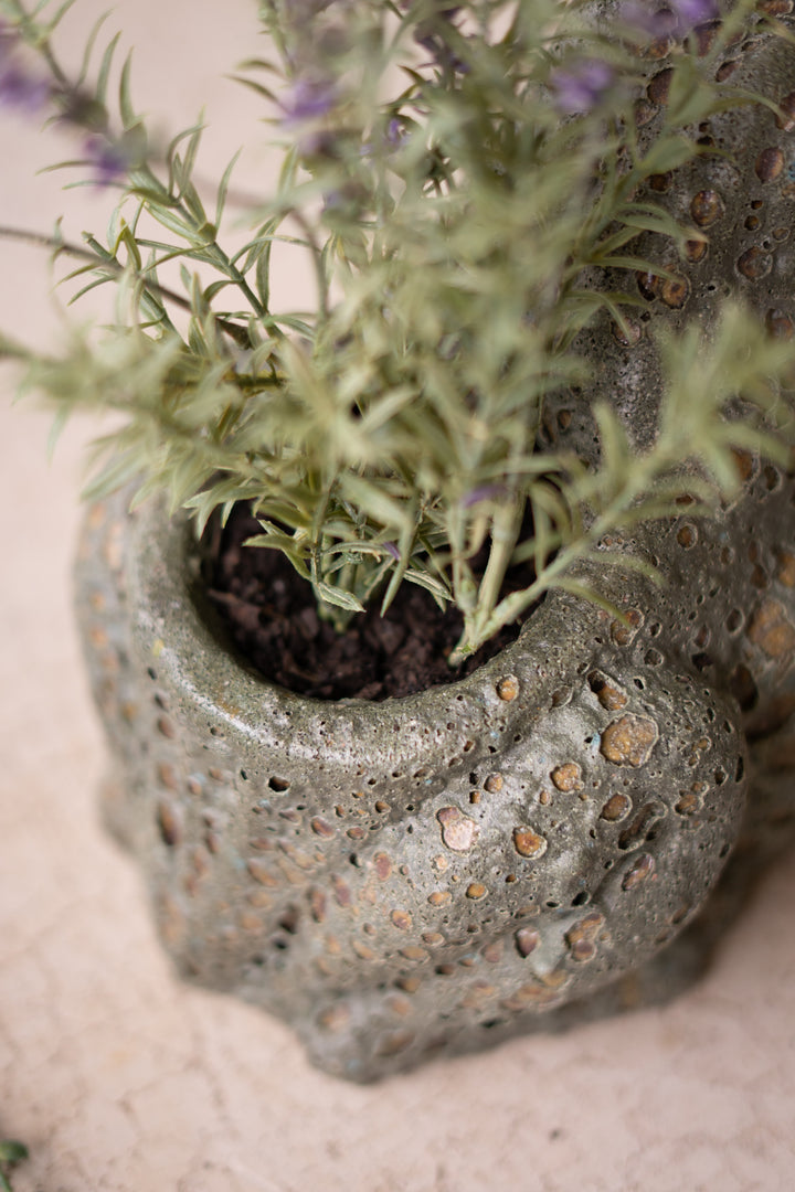 Terracotta Frog Planter with Rustic Glaze
