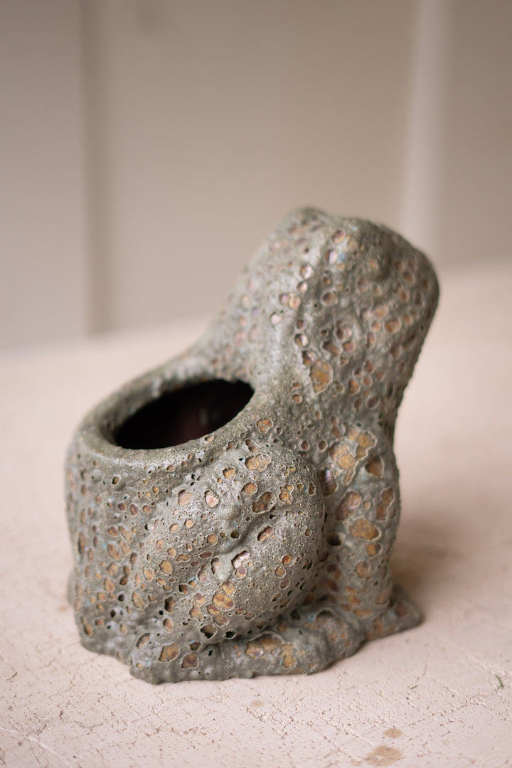 Terracotta Frog Planter with Rustic Glaze