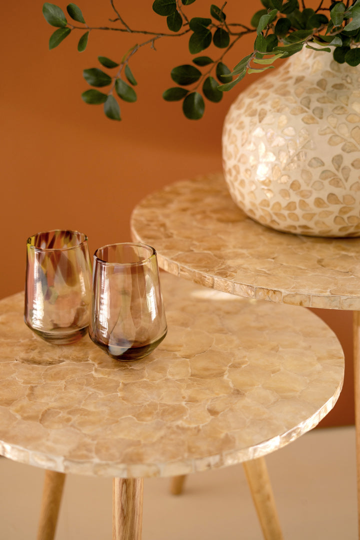 Set of 2 Wooden Accent Tables with Neutral Capiz Shell Detail