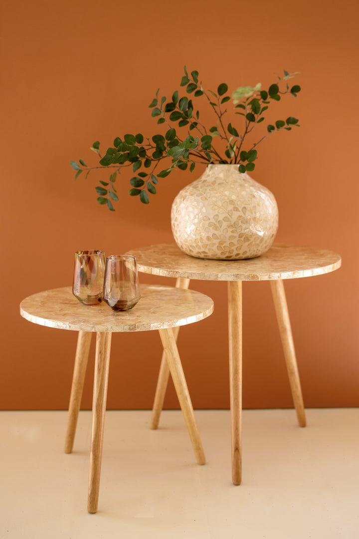 Set of 2 Wooden Accent Tables with Neutral Capiz Shell Detail