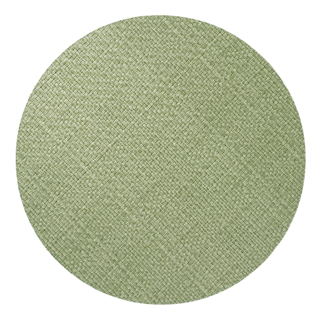 Fern