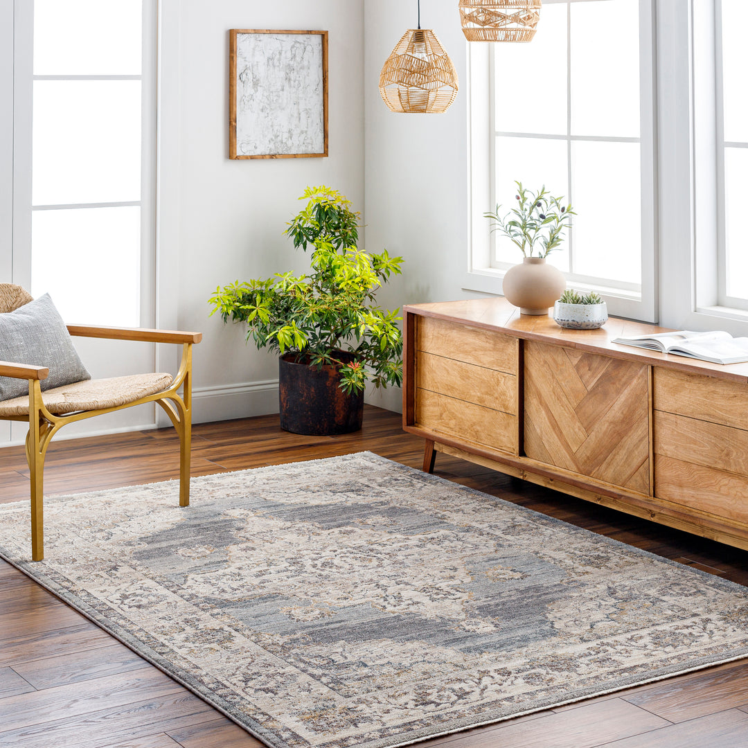 Livabliss Aida Machine Woven Rug (AAD-2300)