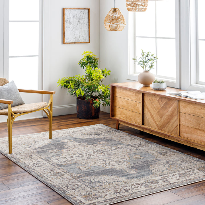 Livabliss Aida Machine Woven Rug (AAD-2300)