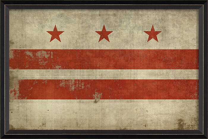 Flag Framed Print (Washington DC)