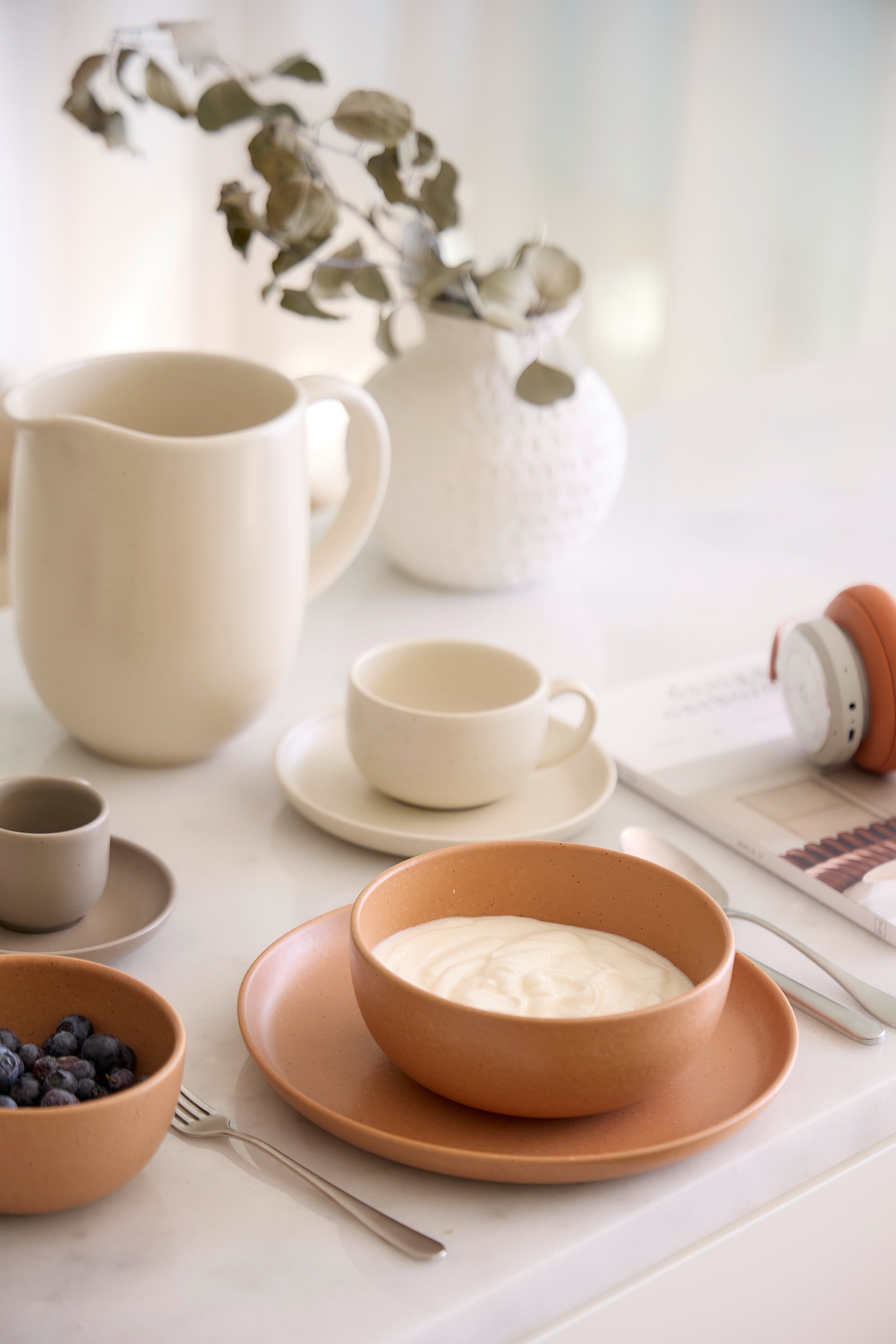 Revo's Acoustic Night2023 「オリジナルお椀セット」 Costa Nova Pacifica Fine Stoneware Dinnerware (Terracotta)