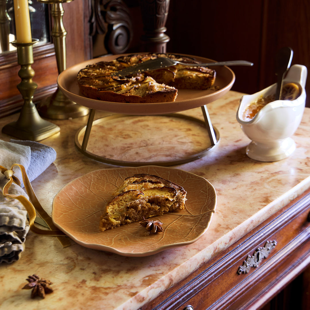 Costa Nova Silvina Fine Stoneware Dinnerware (Terracotta)