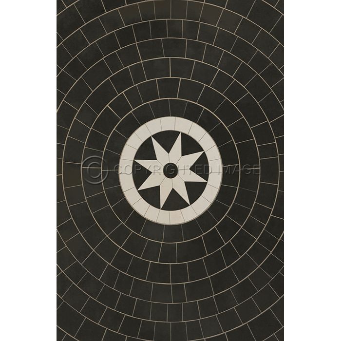 Vintage Vinyl Floorcloth Rug (Pattern 58 Regnant)