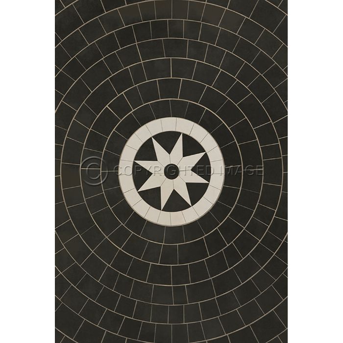 Vintage Vinyl Floorcloth Rug (Pattern 58 Regnant)