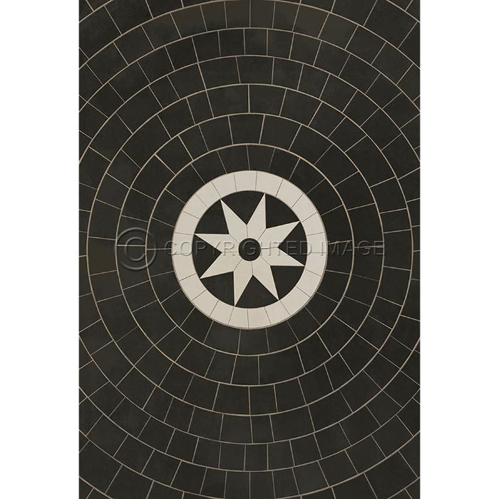 Vintage Vinyl Floorcloth Rug (Pattern 58 Regnant)