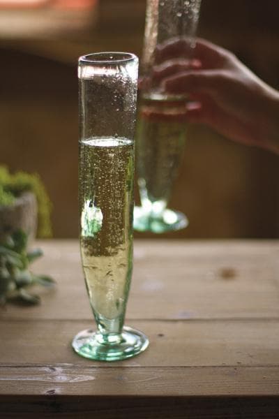 Crystal Champagne Stem Flutes, Set of 6 - Hudson Grace