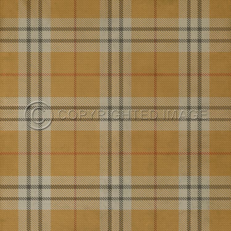 Spicher & Company Vintage Vinyl Floorcloth Mat (Classic Pattern 66 New Lanark)