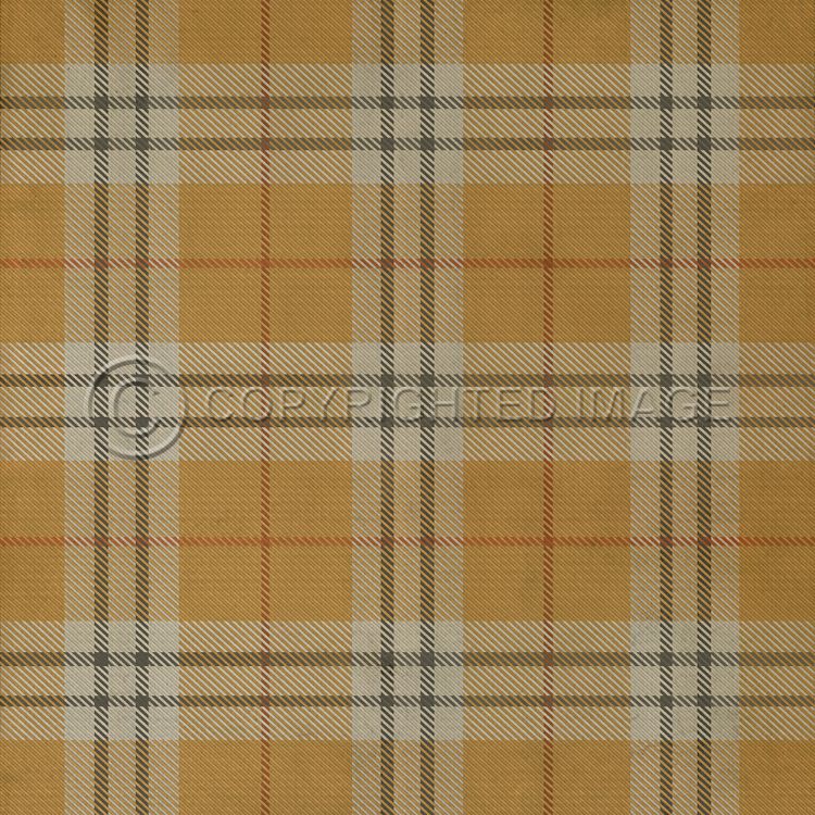 Spicher & Company Vintage Vinyl Floorcloth Mat (Classic Pattern 66 New Lanark)