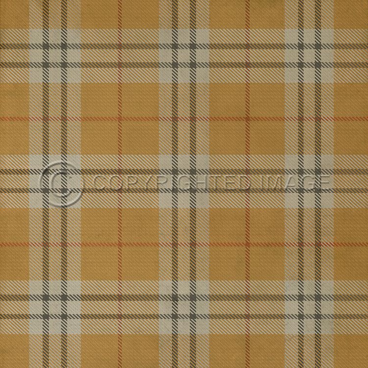 Spicher & Company Vintage Vinyl Floorcloth Mat (Classic Pattern 66 New Lanark)