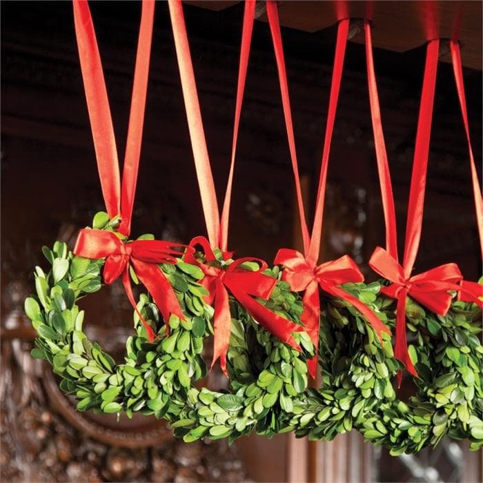 Mini Boxwood Wreaths with Red Ribbons Set/12