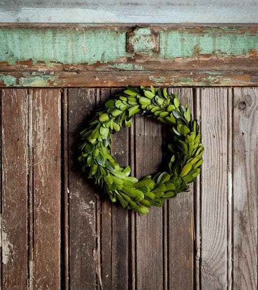 Mini Perserved Boxwood Wreaths (S/6)