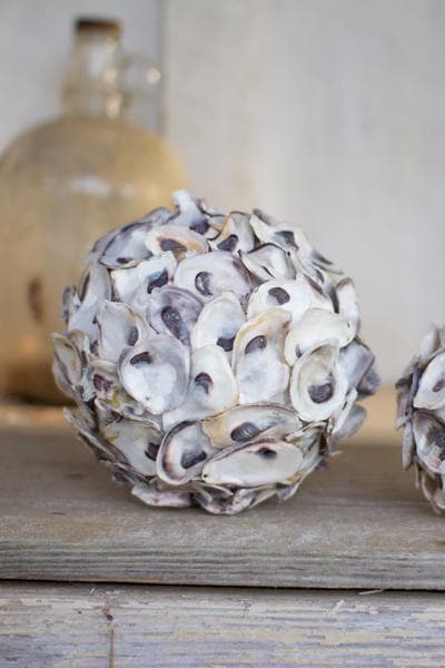 Oyster Shell Spheres Set/2