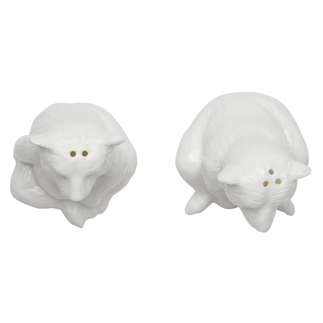 Issac White Glaze Salt and Pepper Shakers Set/2