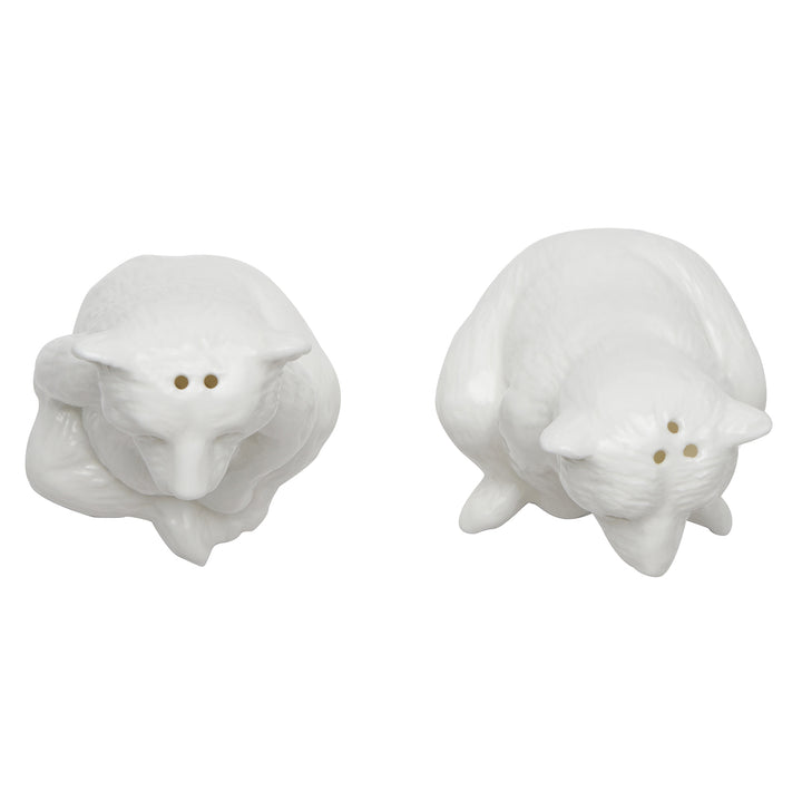 Issac White Glaze Salt and Pepper Shakers Set/2