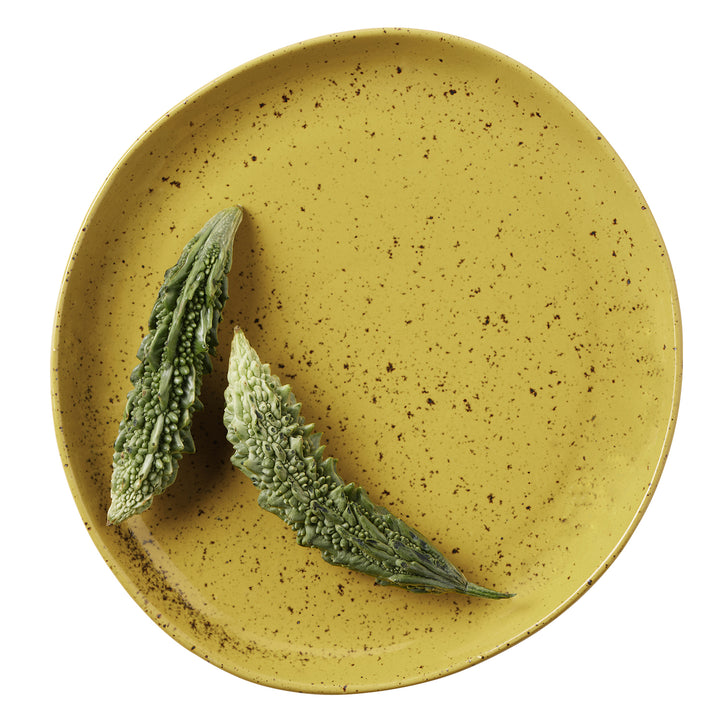 Marcus Chartreuse Salt Glaze Dinner Plates Set/4