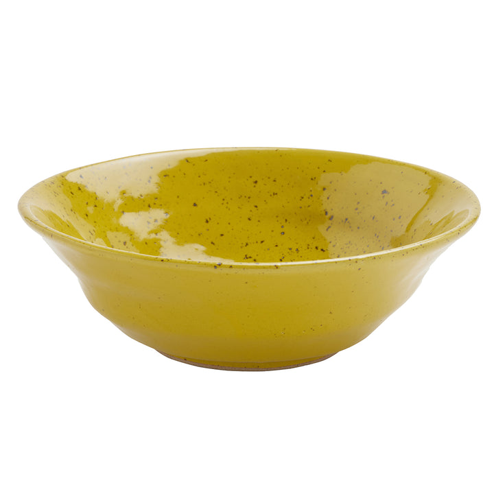 Marcus Chartreuse Salt Glaze Pasta/Soup Bowls Set/4