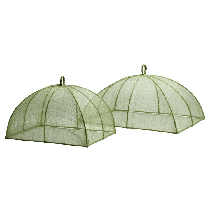 Rachel Pale Green Rectangular Food Covers Set/2